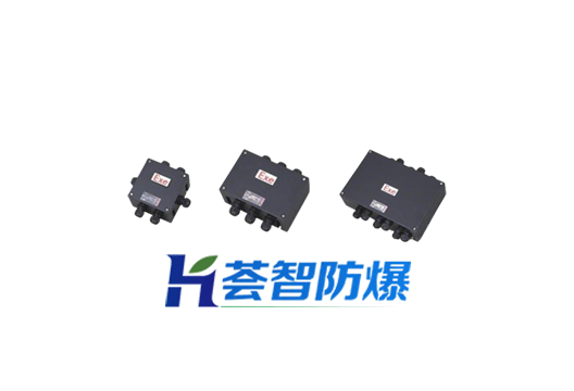 BXJ8050防爆防腐接线箱（可定制）