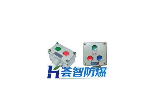 LA53系列防爆按钮(llB)（可定制）