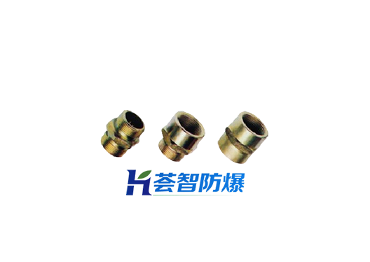 BGJ防爆管接头（可定制）