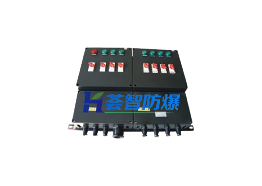 BXM8050防爆防腐配电箱（可定制）