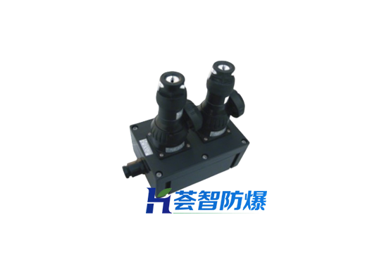 BXX8050系列防爆电源插座箱（可定制）